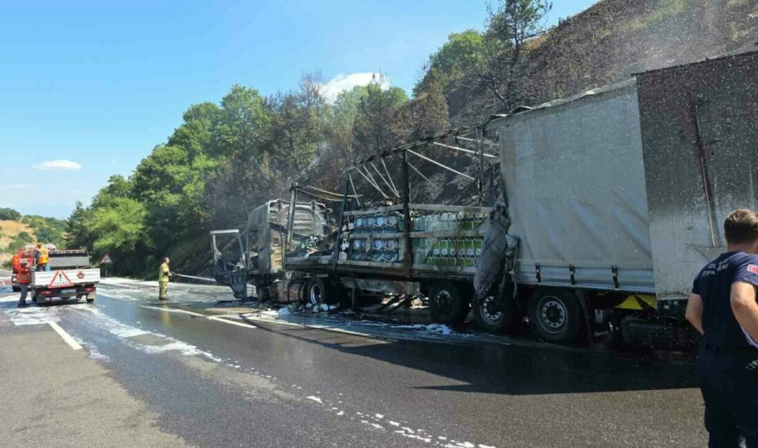 Motor yağı yüklü tır alev alev yandı, ormana sıçrayan yangın güçlükle söndürüldü Bursa’nın Kestel ilçesinde motor yağı yüklü tır seyir halindeyken alev