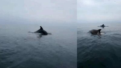 Bursa’nın Mudanya ilçesine bağlı Güzelyalı Mahallesi’nde denize açılan bir grup