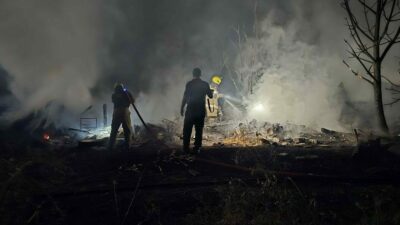 Bursa’nın Mudanya ilçesine bağlı Göynüklü Mahallesi’nde, zeytinlik alanda bulunan bağ