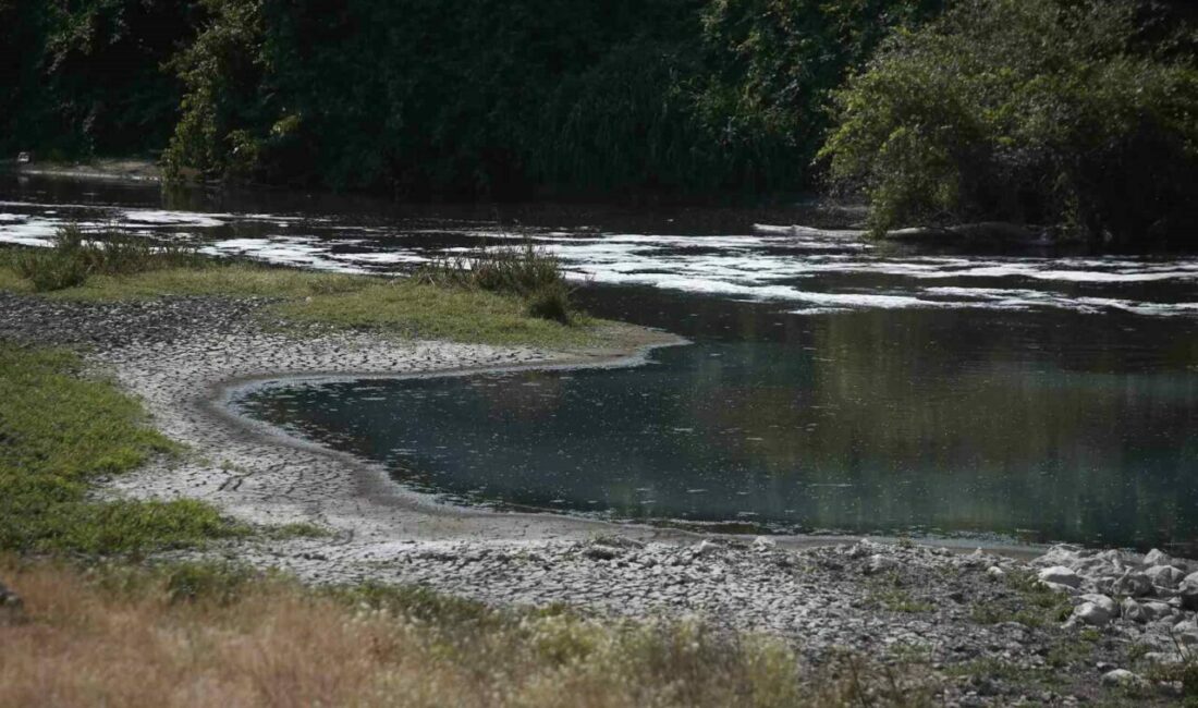 Uludağ’ın eteklerinden doğarak Bursa Ovası’nı besleyen Nilüfer Çayı, çevre kirliliğiyle