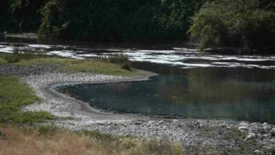 Uludağ’ın eteklerinden doğarak Bursa Ovası’nı besleyen Nilüfer Çayı, çevre kirliliğiyle