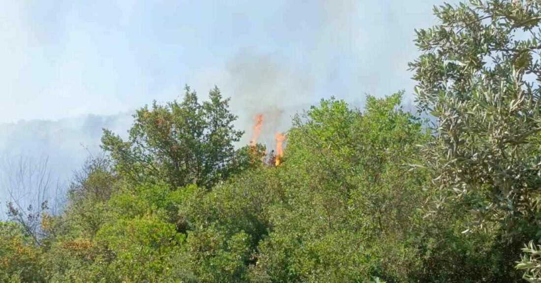 Bursa’nın Orhangazi ilçesinde tarladan yükselen alevlere havadan ve karadan müdahale