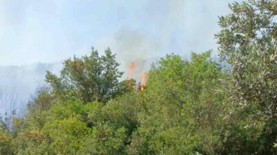 Bursa’nın Orhangazi ilçesinde tarladan yükselen alevlere havadan ve karadan müdahale