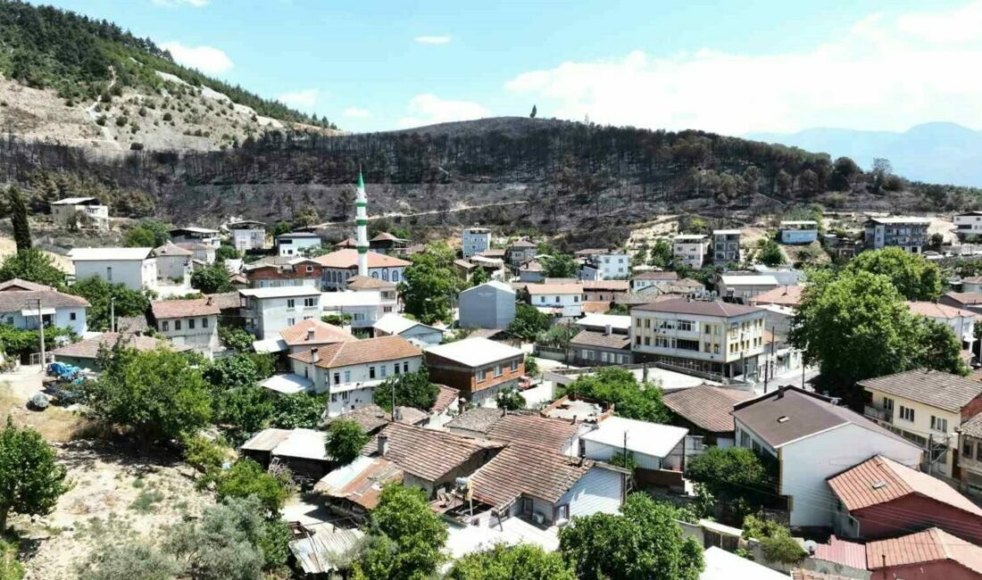 Bursa’da dün yangın dehşetini yaşayan İsmetiye Mahallesi’nin zümrüt yeşili orman