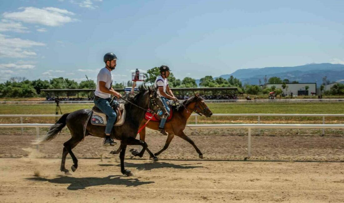Bursa Büyükşehir Belediyesi ve Türkiye Geleneksel Atlı Spor Dalları Federasyonu
