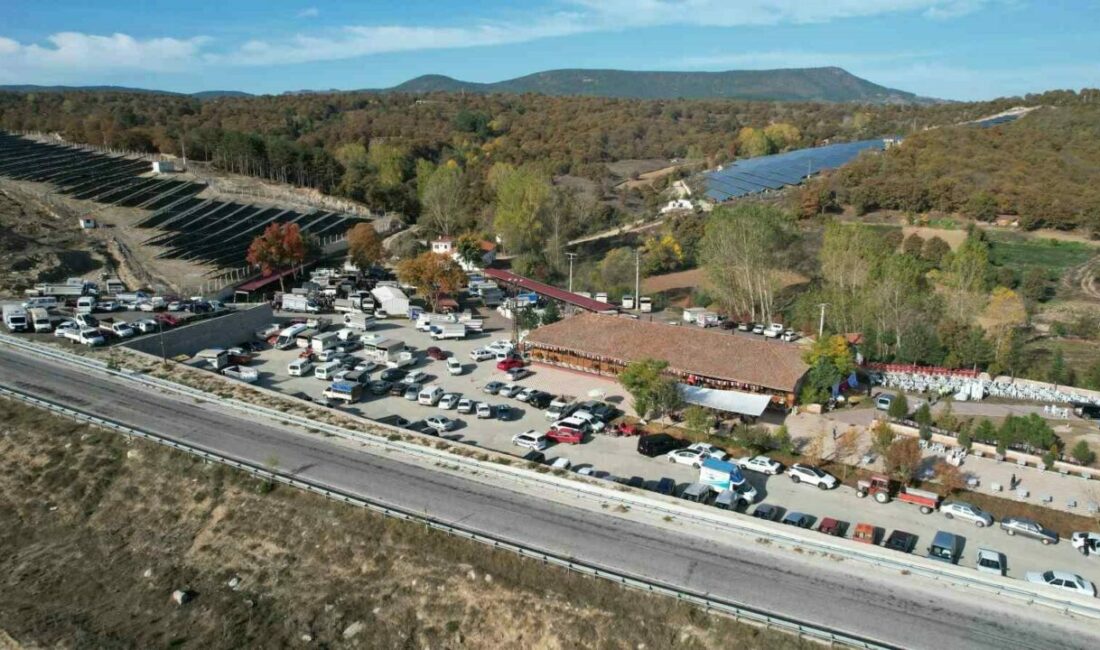 Bursa’nın Büyükorhan ilçesinde 400 yıldır her cuma kurulan “Cuma Hayvan