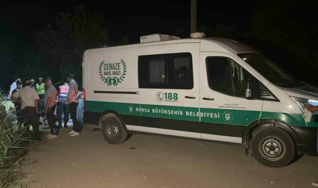 Bursa’nın Orhangazi ilçesinde dün gece İznik Gölü sahiline yakın bir