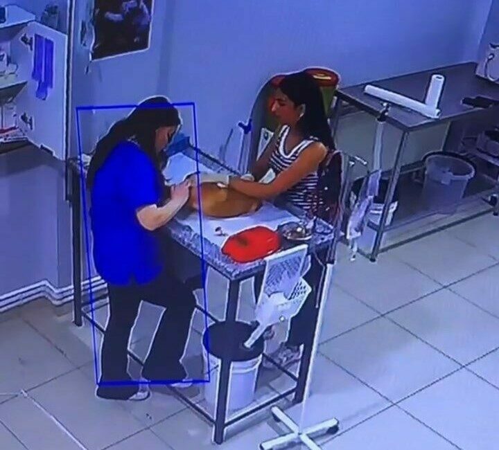 Veteriner kliniğinde köpeğini tedavi ettiren kadın bayıldı Bursa’da köpeğini tedavi için veterinere getiren bir kadın, muayene sırasında