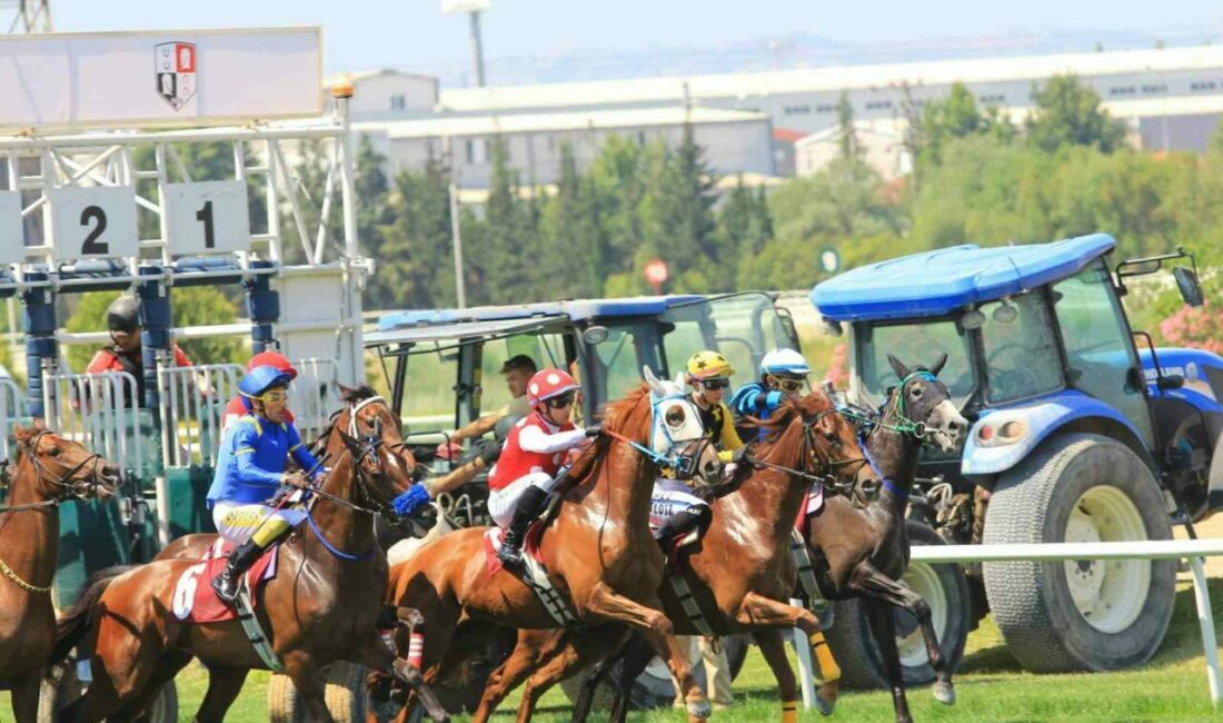 Kurban Bayramı’nın 4’üncü gününde Bursa Osmangazi Hipodromu’nda düzenlenen at yarışlarına