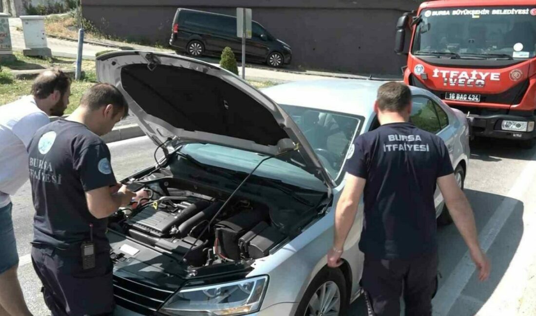 Bursa’da kırmızı ışıkta bekleyen otomobilin altına giren yavru kedi, trafiği