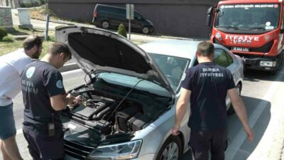 Bursa’da kırmızı ışıkta bekleyen otomobilin altına giren yavru kedi, trafiği