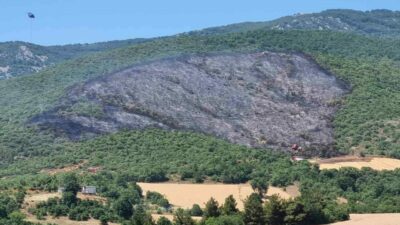 Bursa’nın Yenişehir ilçesine bağlı Selimiye ile Menteşe mahalleleri arasındaki ormanlık