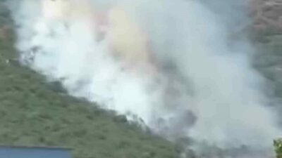 Bursa’nın Yenişehir ilçesine bağlı Selimiye ile Menteşe mahalleleri arasındaki ormanlık