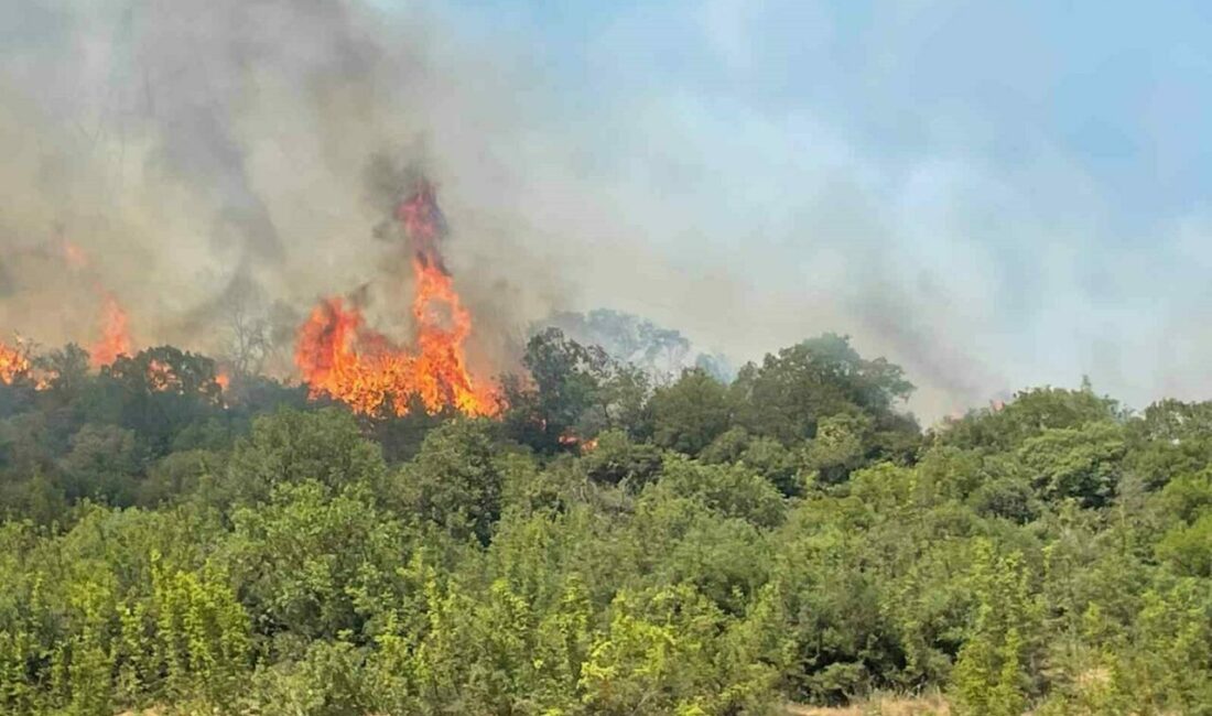 Bursa’nın Yenişehir ilçesine bağlı Marmaracık mevkiinde dün çıkan orman yangının