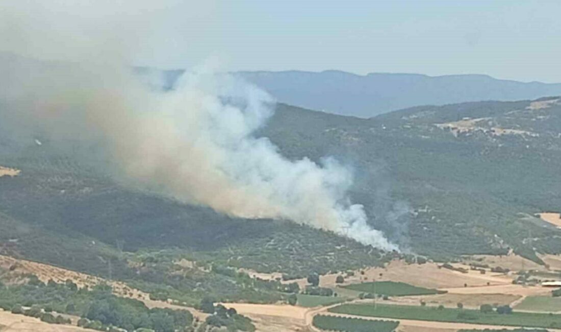Yenişehir’deki yangının gücü azaldı Bursa’nın Yenişehir ilçesindeki ormanlık alanda meydana gelen yangının gücü ekiplerin