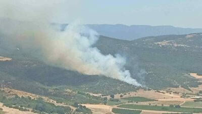 Bursa’nın Yenişehir ilçesindeki ormanlık alanda meydana gelen yangının gücü ekiplerin