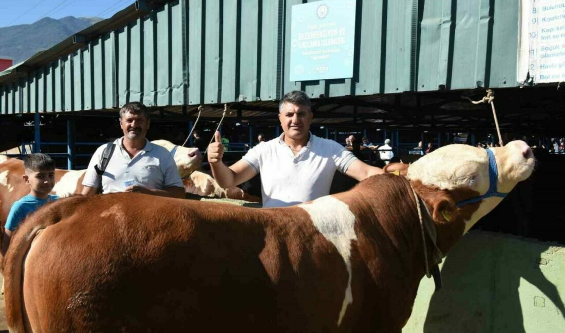 Yıldırım Belediyesi, Vatandaşların kurban ibadetlerini dini vecibelere uygun bir şekilde