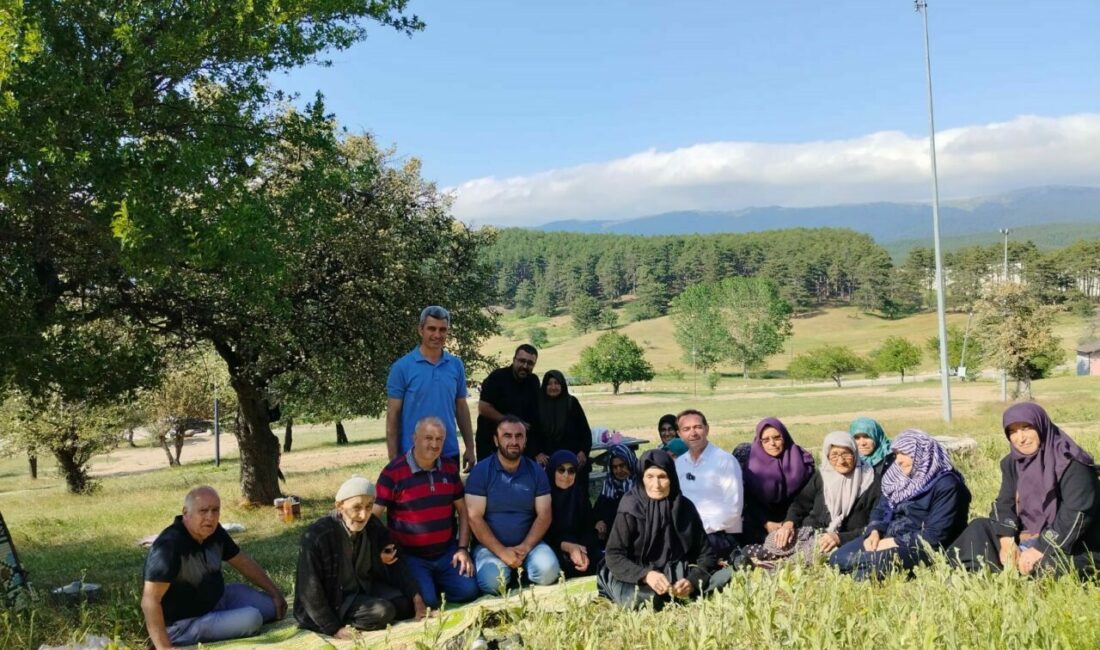 Bursa’nın Gököz Mahallesinde ’Köyün Yalnız Çınarlarına Unutulmaz Bir Gün’ etkinliği