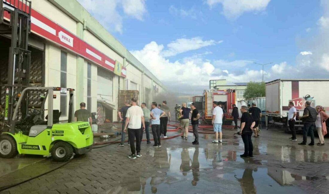 Zeytin tesisinde korkutan yangın Bursa’nın Orhangazi ilçesindeki Orhangazi Zeytin İşleme Merkezi’nde sabah saatlerinde çıkan
