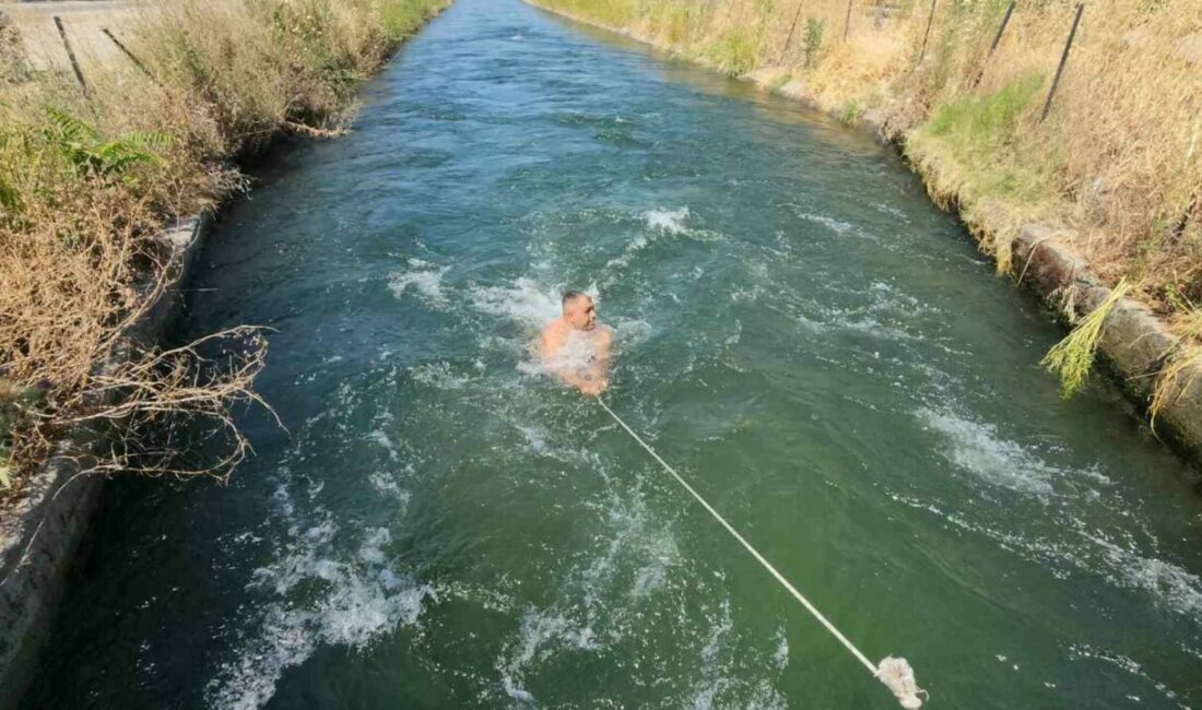 40 derecede sulama kanalında serinlediler Termometrelerin 40 dereceyi gösterdiği Bursa’nın Mustafakemalpaşa ilçesinde sıcaktan bunalan gençler