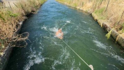 Termometrelerin 40 dereceyi gösterdiği Bursa’nın Mustafakemalpaşa ilçesinde sıcaktan bunalan gençler