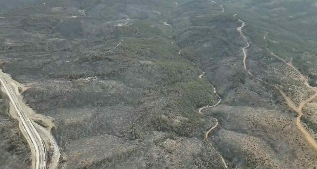5 gün sonra kontrol altına alınan yangından geriye yürek burkan görüntüler kaldı Bursa’nın Harmancık ilçesinde 5 gün boyunca etkili olan orman yangını