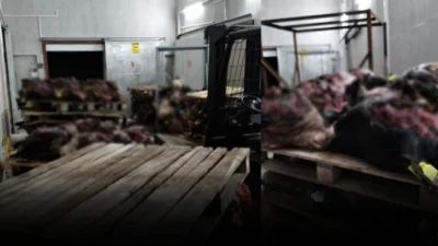 Gemlik Bağkur Sanayi Sitesi’nde ortaya çıkan görüntüler, halk sağlığı açısından