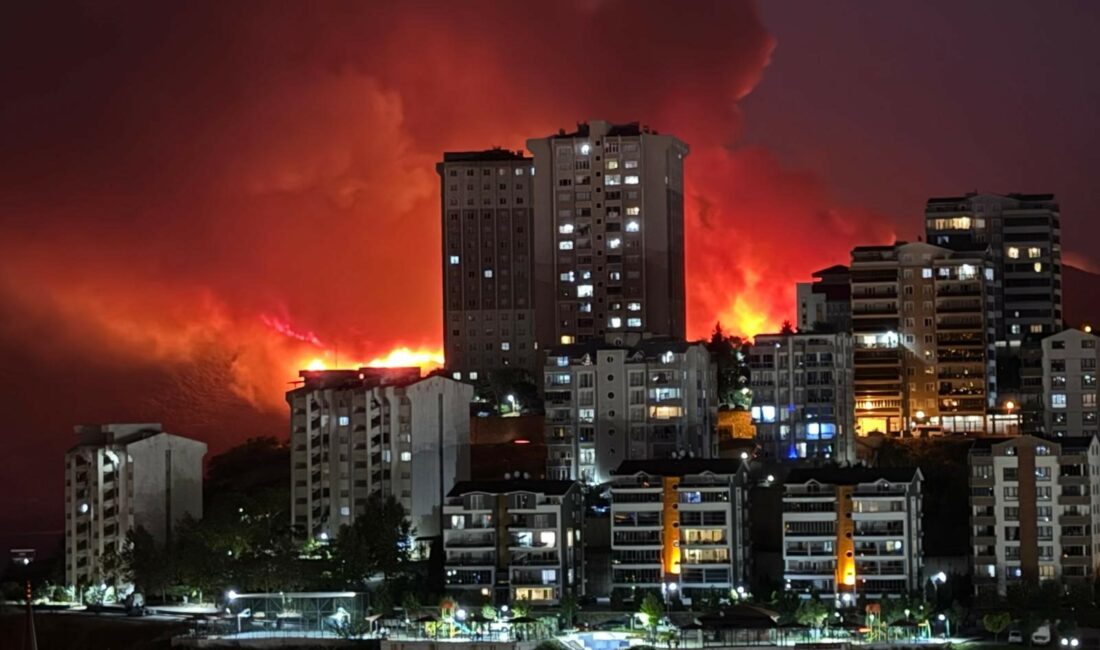 Bursa'da akşam saatlerinde başlayan orman yangınları adeta cehennem gecesi yaşattı.