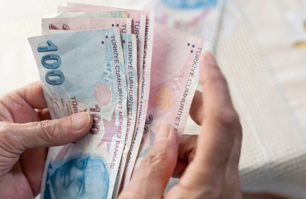 Emekli artık unutmuyor Emekli ve Emekçi Dernekleri Federasyonu (EMED-FED) Başkanı Gönül Boran Özüpak,