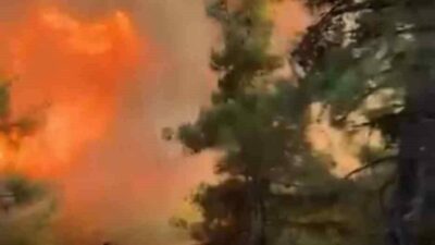 Bursa’nın Gürsu ilçesinde 4 gündür süren yangının ilk çıkış anına