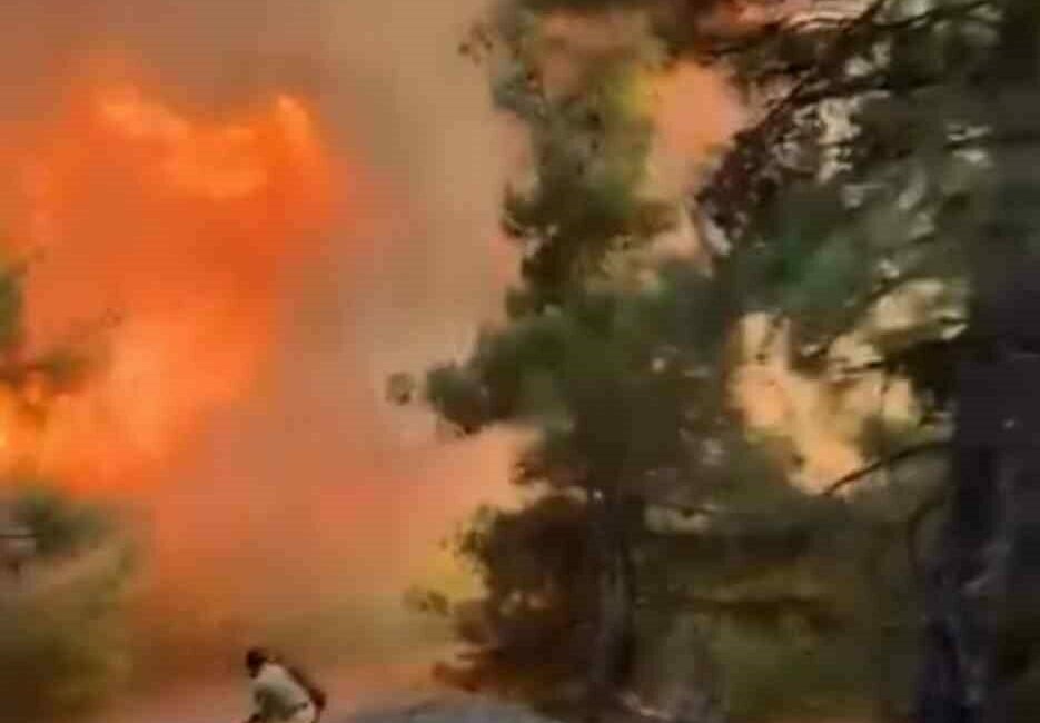 Alev kapanından son saniyeye kadar çıkmadılar Bursa’nın Gürsu ilçesinde 4 gündür süren yangının ilk çıkış anına