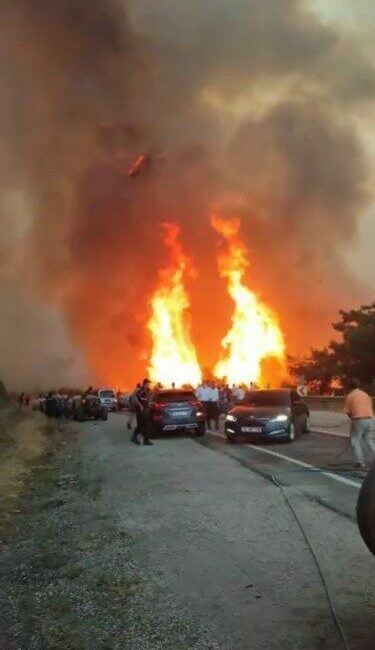 Kestel ile Gürsu arasındaki ormanlık alanda başlayan ve rüzgarın etkisiyle