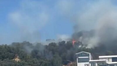 Bursa’nın Mudanya ilçesinde ağaçlık alandan yükselen alevler, sahilde denize girenlerin