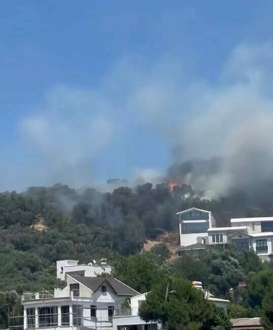 Bursa’nın Mudanya ilçesinde ağaçlık alandan yükselen alevler, sahilde denize girenlerin