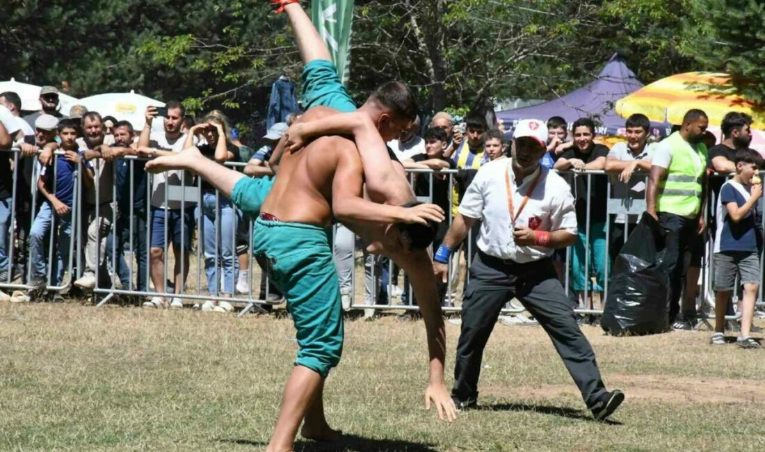 İznik, Elmalı Mahallesi Alıç Yaylası Karakucak Güreşleri muhteşem bir katılım