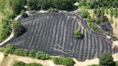 Bursa’nın İnegöl ilçesinde anız yangını köylülerin ve ekiplerin müdahalesiyle kısa