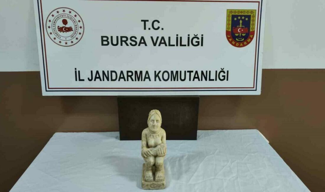 Bursa’nın İnegöl İlçe Jandarma Komutanlığı ekipleri, ilçeye satış için getirilen
