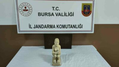 Bursa’nın İnegöl İlçe Jandarma Komutanlığı ekipleri, ilçeye satış için getirilen