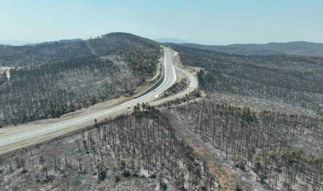 Başkan Bozbey: “10 bin futbol sahası kadar alanı kaybetmenin üzüntüsünü yaşıyoruz” Bursa Büyükşehir Belediye Başkanı Mustafa Bozbey, Gürsu ve Harmancık’ta toplam