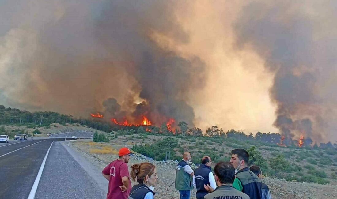 Başkan Bozbey, “Yangının 6 farklı bölgede bir anda başlamış olması düşündürücü” Bursa Büyükşehir Belediyesi Başkanı Mustafa Bozbey, Orhaneli-Harmancık ilçeleri arasında devam
