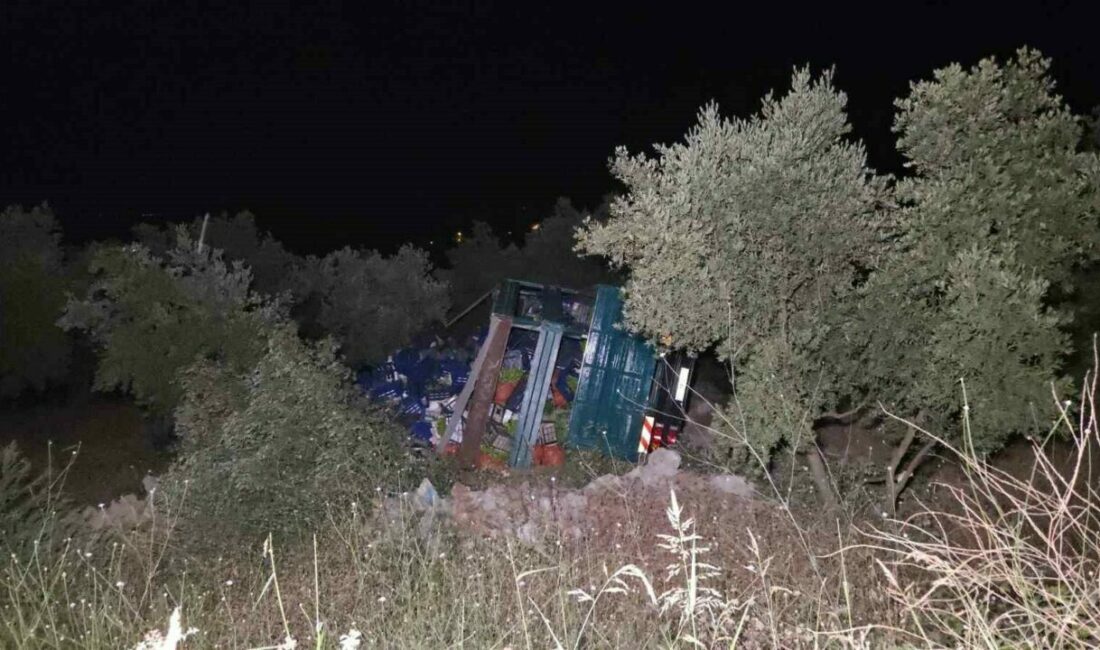 Biber yüklü kamyon zeytinliğe uçtu: 1 yaralı Bursa’nın Orhangazi ilçesinde biber yüklü kamyon, virajda kontrolden çıkarak zeytinliğe