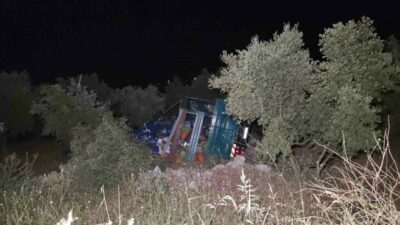 Bursa’nın Orhangazi ilçesinde biber yüklü kamyon, virajda kontrolden çıkarak zeytinliğe