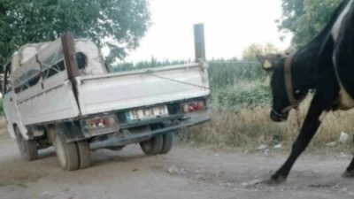 Bursa’nın İnegöl ilçesinde vicdanları sızlatan bir olay yaşandı. Bir sürücü,