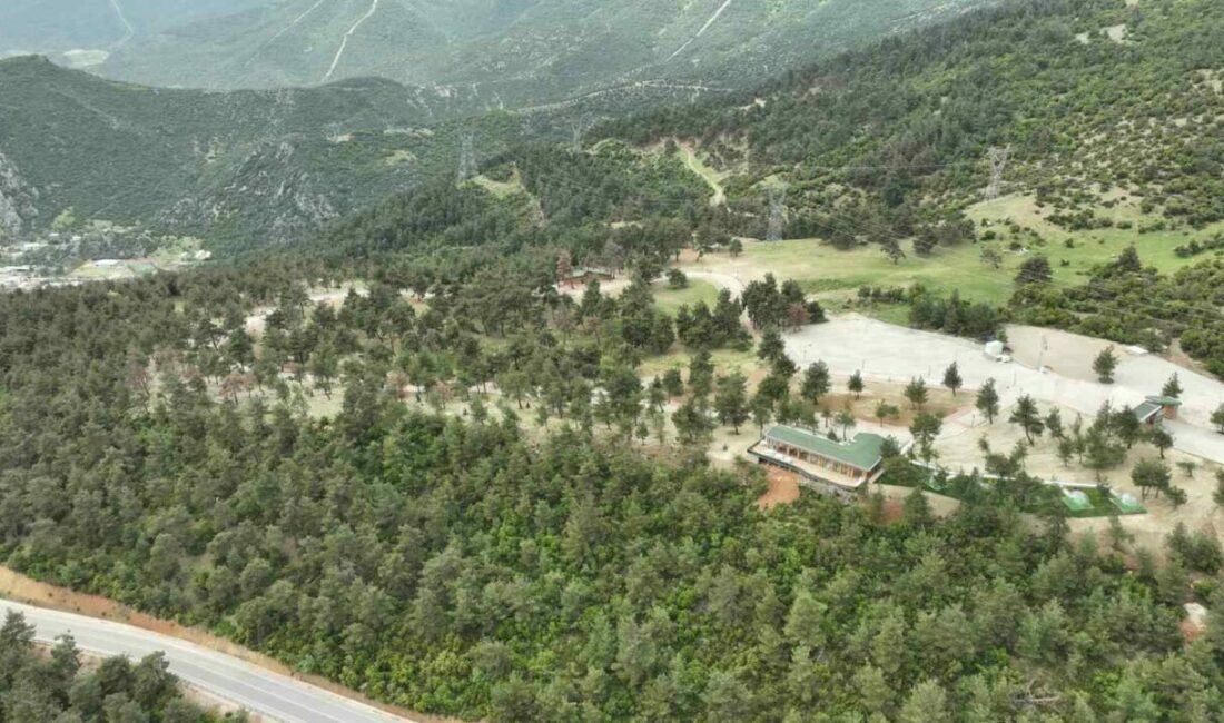 Böyleydi böyle oldu Bursa’nın Gürsu ilçesinde tarihi yangının etkisini gözler önüne seren, ormanın
