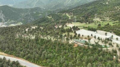 Bursa’nın Gürsu ilçesinde tarihi yangının etkisini gözler önüne seren, ormanın