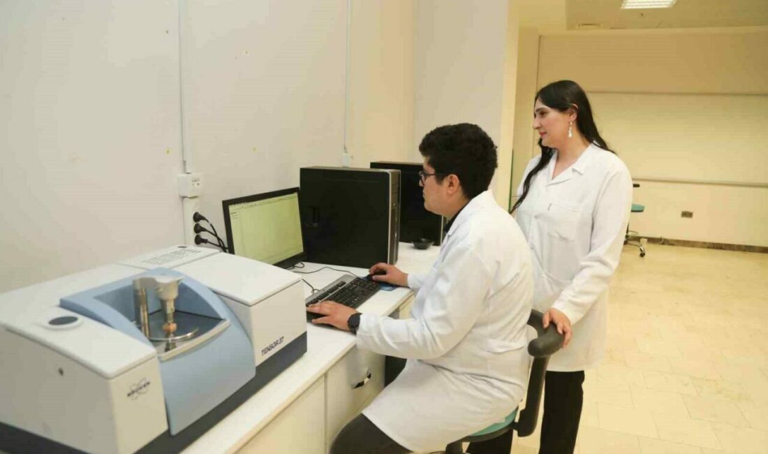 BTÜ’denyerli odun türlerini mobilya ve yapı sektörüne kazandıracak proje Bursa Teknik Üniversitesinde yürütülen projeyle, kavak ve ladin gibi odun