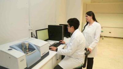 Bursa Teknik Üniversitesinde yürütülen projeyle, kavak ve ladin gibi odun