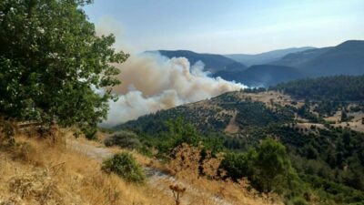 Bursa-Balıkesir sınırında çıkan orman yangınına müdahale sürüyor. İki mahalle tahliye