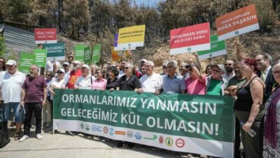 Bursa Kent Konseyi, DOĞADER ve çeşitli sivil toplum kuruluşları, Demirtaş