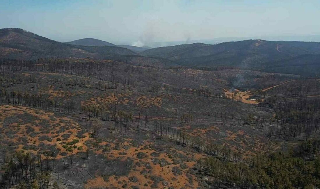 Bursa’da acı tablo: Harmancık’ta yanan yerler havadan görüntülendi Bursa’nın Harmancık ilçesinde çıkan yangın sürüyor. Gece gündüz demeden müdahalede